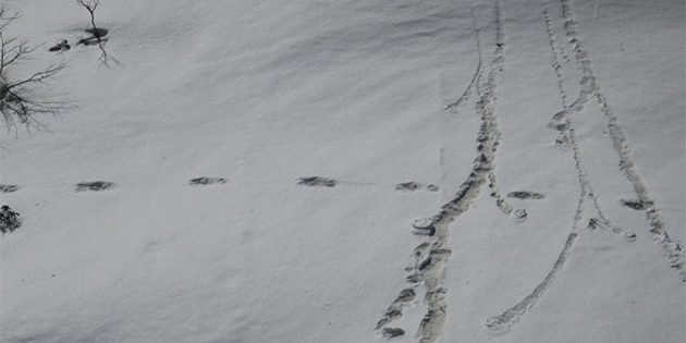 Stammen diese Spuren im Schnee des Makalu-Barun Nationalparks von einem Yeti? Wohl eher nicht. Copyright: ADG PI - INDIAN ARMY