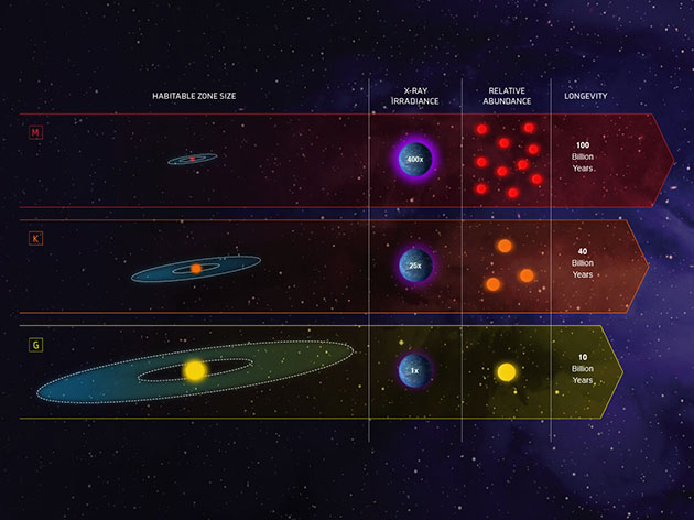 Drei Sternenkategorien im Vergleich: Sonnenähnliche, sog. G-Sterne (u.); orange Zwergsterne (K-Sterne; m.) und Rote Zwerge (M-Sterne; o.) Copyright: NASA, ESA, and Z. Levy (STScI)