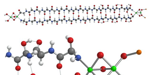 Verschiede Darstellungen und Ansichten des im Innern eines Meteoriten entdeckt Proteins (Illu.). Copyright/Quelle: Malcolm. W. McGeoch, Sergei Dikler, Julie E. M. McGeoch