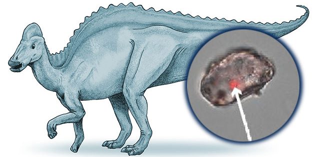 Künstlerische Darstellung eines Entenschnabelsauriers (Hypacrosaurus). Copyright: Debivort (via WikimediaCommons) / CC BY-SA 3.0