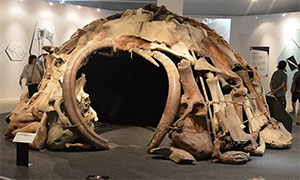Sind die Knochenkreise einstige Eiszeit-Behausungen, wie es diese Museums-Rekonstruktion vermutet? Copyright: unbek.