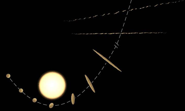 Diese Abbildung zeigt den Prozess der Gezeitenstörung, der zu 'Oumuamua -ähnlichen Objekten führen kann (Illu.). Copyright: NAOC / Y. Zhang