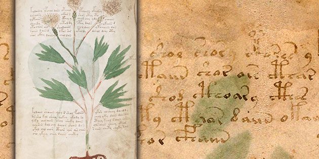 Seiten- und Schriftbeispiele aus dem Voynich-Manuskript. Copyright: Yale University, Beinecke Rare Book and Manuscript Library
