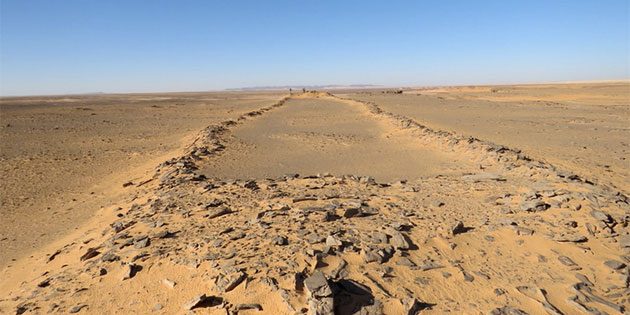 Blick entlang eines Mustatils in der saudi-arabischen Nefud-Wüste. Der Forscher am gegenüberliegenden Ende erlaubt in etwa einen Größenvergleich der Anlage. Copyright: Huw Groucutt