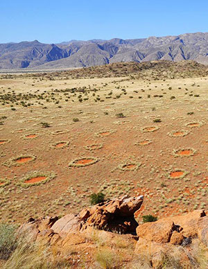 Blick auf einige wenige der mysteriösen Feenkreise in Namibia. Copyright: Dr. Stephan Getzin/UFZ