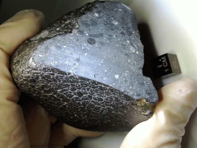 Der Mars-Meteorit NWA 7533 Copyright: NASA/Gemeinfrei