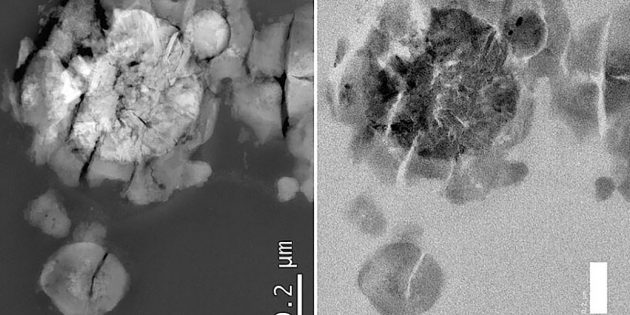 Ein einzigartiger Prototyp von mikrobiellem Leben, gezüchtet auf echtem Marsgestein: Das Bild, aufgenommen mit einem Transmissionselektronenmikroskops, zeigt das inhomogene, robuste und grobkörnige Innere von M. sedula, das mit kristallinen Ablagerungen gefüllt ist. Copyright/Quelle: Tetyana Milojevic / Universität Wien