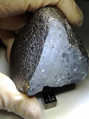 Der auch als „Black Beauty“ bezeichnete Mars-Meteorit „NWA (Northwest Africa) 7034“. Copyright: NASA 