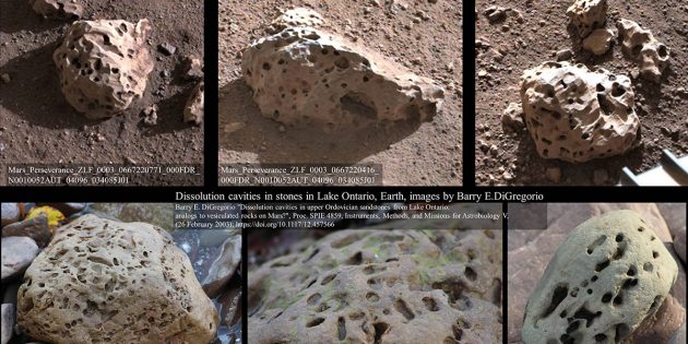 Visueller Vergleich einiger löchriger Gesteine am Landeort des neuen NASA-Marsrovers „Perseverance“ (oben) mit Steinen aus dem Lake Ontario (u.). Copyright: NASA/JPL-Caltech / Barry E. DiGregorio