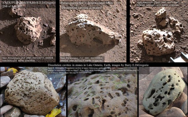 Visueller Vergleich einiger löchriger Gesteine am Landeort des neuen NASA-Marsrovers „Perseverance“ (oben) mit Steinen aus dem Lake Ontario (u.). Copyright: NASA/JPL-Caltech / Barry E. DiGregorio