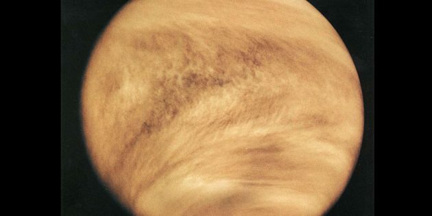 UV-Aufnahme der Venus durch die NASA-Sonde „Pioneer-Venus 1“. Copyright: NASA
