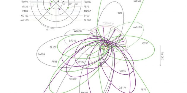 Grafische Darstellung der bislang 19 bekannten abweichenden transneptunischen Objekte, anhand derer Brown und Batygin auf die Existenz eines weiteren, neuen Planeten im Sonnensystem schließen (Illu.). Copyright: Brown u. Batygin, 2021 / Arxiv.org