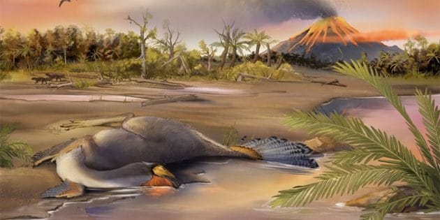 Rekonstruktion des am Ufer von Seen in der Liaoning-Provinz verstorbenen und in der Folge versteinerten Caudipteryx (Illu.). Copyright: Zheng Qiuyang