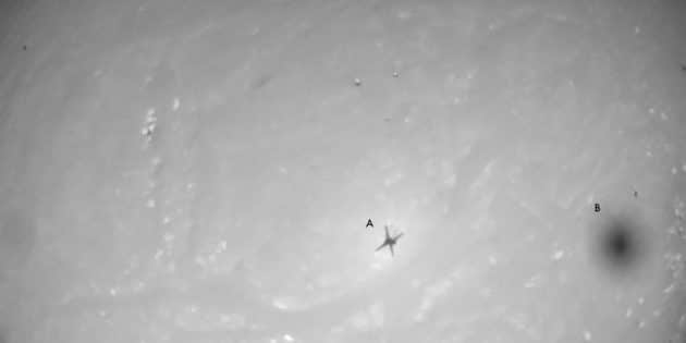 Fliegt da noch was? Auf einer Luftbildaufnahme des Mars-Helikopters „Ingenuity“ zeichnet sich nicht nur der Schatten der Flugdrohne selbst (A), sondern auch ein zusätzlicher runder „Schatten“ (B) auf dem Marsboden ab. Im Gegensatz zu Teilen des Helis, die in Form der Landebeine in den Bildecken zu sehen sind (C), bewegt sich dieser „Fleck“ hin und her. (Klicken Sie auf die Bildmitte, um zur Originalaufnahme auf der NASA-Seit zu gelangen.) Copyright: NASA