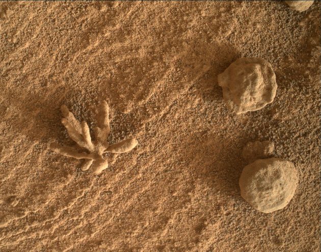 Die als 'Blackthorn Salt' bezeichnete „Mars-Blume“. (Klicken Sie auf die Bildmitte, um zu einer vergrößerten Darstellung zu gelangen.) Copyright: NASA/JPL-Caltech/MSSS