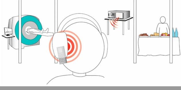 Versuchsaufbau der Studie Copyright: Wardzinski et al. Nutrients 2022