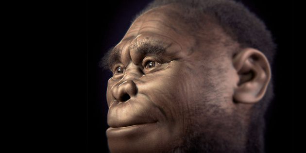 Künstlerische Rekonstruktion des Homo floresiensis. Copyright: Cicero Moraes et all. (via WikimedisCommons) / CC BY-SA 4.0