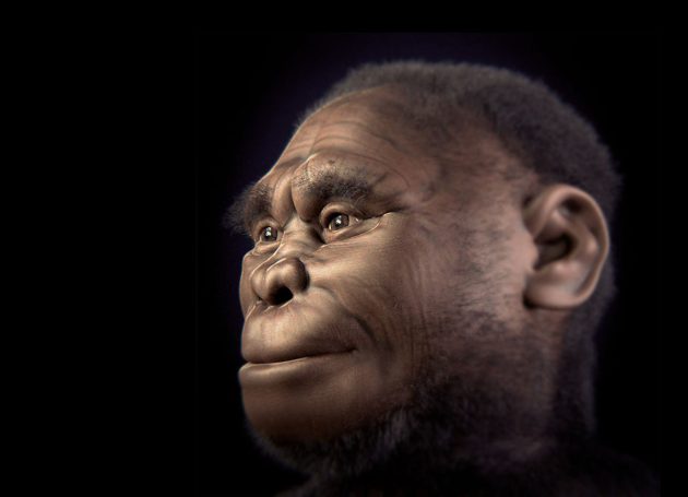 Künstlerische Rekonstruktion des Homo floresiensis. Copyright: Cicero Moraes et all. (via WikimedisCommons) / CC BY-SA 4.0