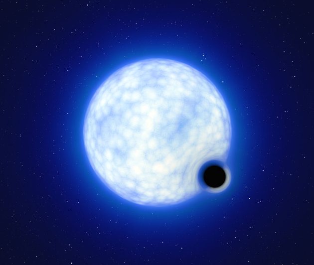 Künstlerische Darstellung des Doppelsternsystems „VFTS 243“. Das System, das sich im sog. Tarantelnebel in der Großen Magellanschen Wolke befindet, besteht aus einem heißen, blauen Stern mit der 25-fachen Masse der Sonne und einem Schwarzen Loch, das mindestens die neunfache Masse der Sonne hat. Die Größen der beiden binären Komponenten sind nicht maßstabsgetreu: in Wirklichkeit ist der blaue Stern etwa 200 000 Mal größer als das schwarze Loch (Illu.). Copyright: ESO/L. Calçada