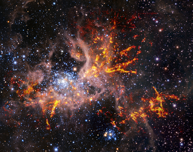 Diese Kompositaufnahme zeigt das Sternentstehungsgebiet 30 Doradus, das auch unter dem Namen „Tarantelnebel“ bekannt ist, im Infraroten und im Radiobereich. Copyright: ESO, ALMA (ESO/NAOJ/NRAO)/Wong et al., ESO/M.-R. Cioni/VISTA Magellanic Cloud Survey. Acknowledgment: Cambridge Astronomical Survey Unit
