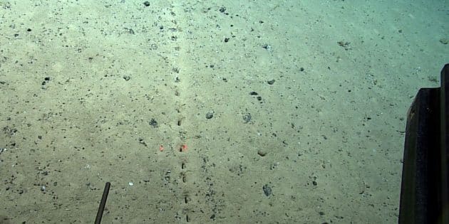 Rätselhafte gleichförmige Löcher-Reihen. (Klicken Sie auf die Bildmitte, um zu einer vergrößerten Darstellung zu gelangen.) Copyright: NOAA Ocean Exploration, Voyage to the Ridge 2022