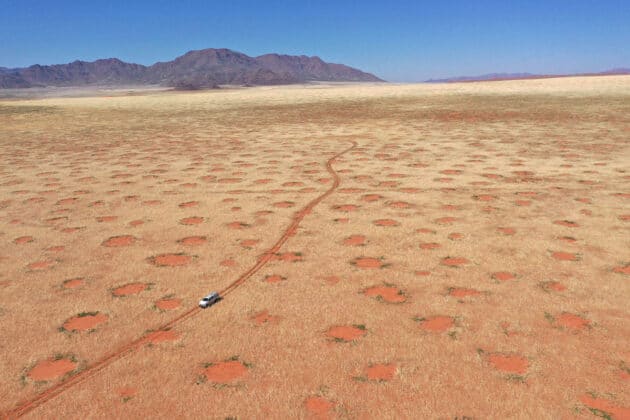 Drohnenaufnahme eines Autos im NamibRand-Naturreservat, eine der Feenkreisregionen in Namibia, wo die Forscher Gräser, Bodenfeuchte und Infiltration untersuchten (April 2022). Copyright: Dr. Stephan Getzin