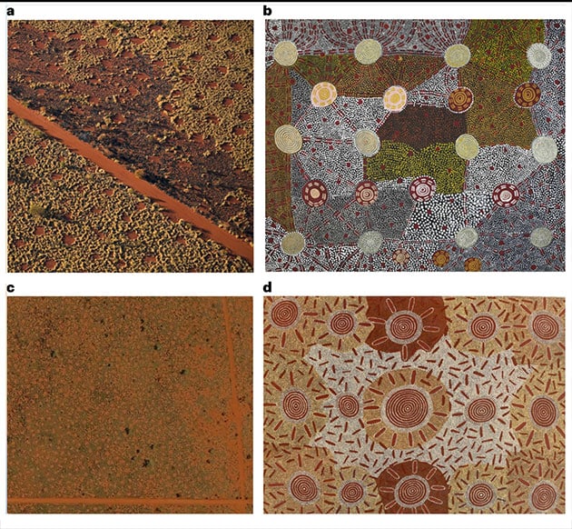 Das Bild oben rechts (b) von Anmatyerr, Warlpiri und Arrernte man Kaapa Tjampitjinpa trägt etwa den Titel ‘Watanuma’ und damit den Aborigine-Namen für „essbare fliegenden Termiten, das Muster gleicht der Anordnung der australischen Feenkreise in den Wüsten-Grasländern.Copyright/Quelle: Papunya Tula Artists and Aboriginal Artists Agency