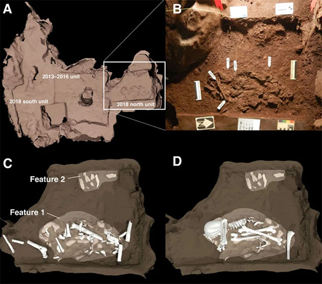 Fundsituation eines Homo naledi in fötaler Haltung.Copyright/Quelle: Lee Berger, Berge et al. / BioRxiv 2023