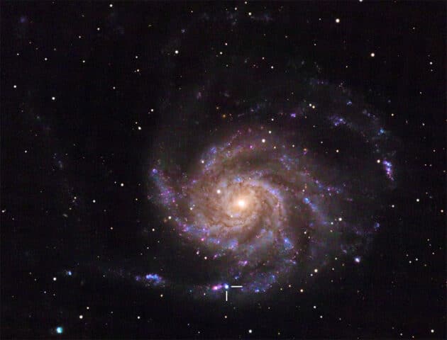 Die Supernova „SN2023ixf“ (m.u.) in der Galaxie Messier 101Copyright: Florian Rünger (via WikimediaComons) / CC BY-SA 4.0