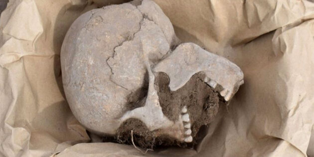Einer der in Casa Colorada, La Ferrería entdeckten „Herz-Schädel“. Klicken Sie auf die Bildmitte, um zu einer Bildergalerie weiterer Funde zu gelangen. Copyright: INAH