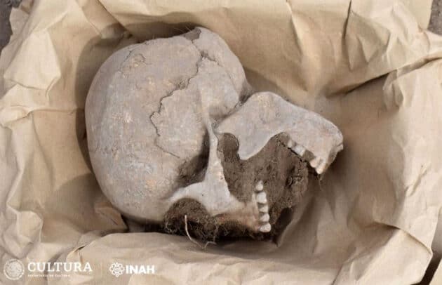 Einer der in Casa Colorada, La Ferrería entdeckten „Herz-Schädel“. Klicken Sie auf die Bildmitte, um zu einer Bildergalerie weiterer Funde zu gelangen.Copyright: INAH