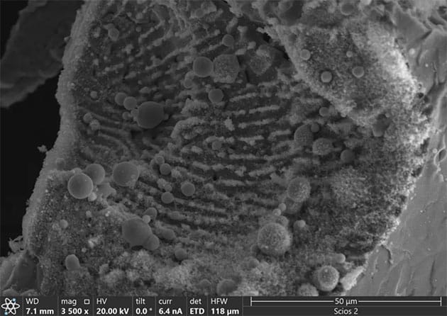 Sphärule S4 aus dem 8. Lauf, zeigt die innere Struktur von Sphärulen in Sphärulen, mit den kleinsten Mikrosphärulen von etwa 5-10 Mikrometern Durchmesser.Copyright/Quelle: Avi Loeb 