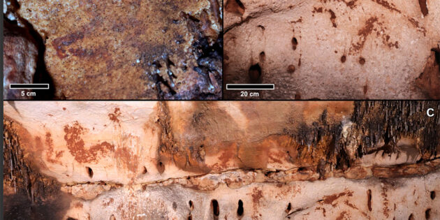 Beispiele der Tier- und Symboldarstellungen in der Cueva Dones: a) Der Kopf eines Auerochsen; b) ein Pferdekopf; c) eine Wand mit verschiedenen Motiven, darunter Tiere und Symbole. Copyright/Quelle: Ruiz-Redondo et al. / Antiquity, 2023