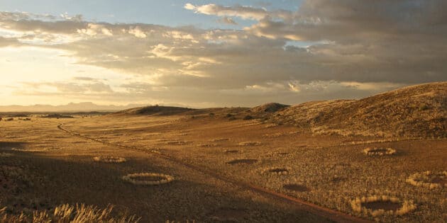 Archivbild: Feenkreise im Damaraland im Nordwesten Namibias. Copyright: Lidine Mia (via WikimediaCommons) / CC BY-SA 4.0