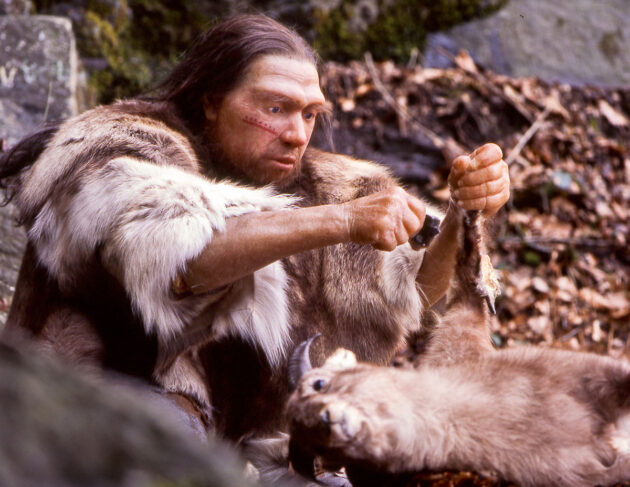 Symbolbild: Rekonstruktion eines Neandertalers.Copyright: Neanderthal-Museum, Mettmann (via WikimediaCommons) / CC BY-SA 4.0