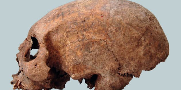 Eine von drei künstlich zu einem Langschädel deformierten Wikinger-Schädel aus dem 11. Jahrhundert auf Gotland. Quelle/Copyright: SHM/Johnny Karlson 2008-11-05 / CC BY 2.5 SE