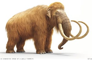 Quelle: Colossal.com