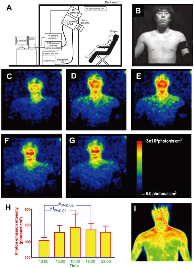 Die biolumineszentes Leuchten des Menschen.Copyright: H.Okamura, M.Kobayashi, D.Kikuchi / plosone.org