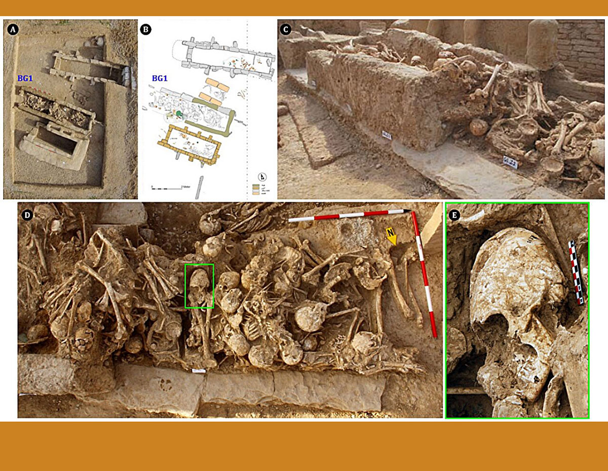 Blick auf das Mehrfachgrab „BG1“ an der Grabstätte Chega-Sofla und der darin bestatteten Individuen und dem Schädelfund „BG1.12“.Quellen: Archiv des Zohreh Prehistoric Project), Alirezazadeh u. Nasab, International Journal of Osteoarchaeology (2025)