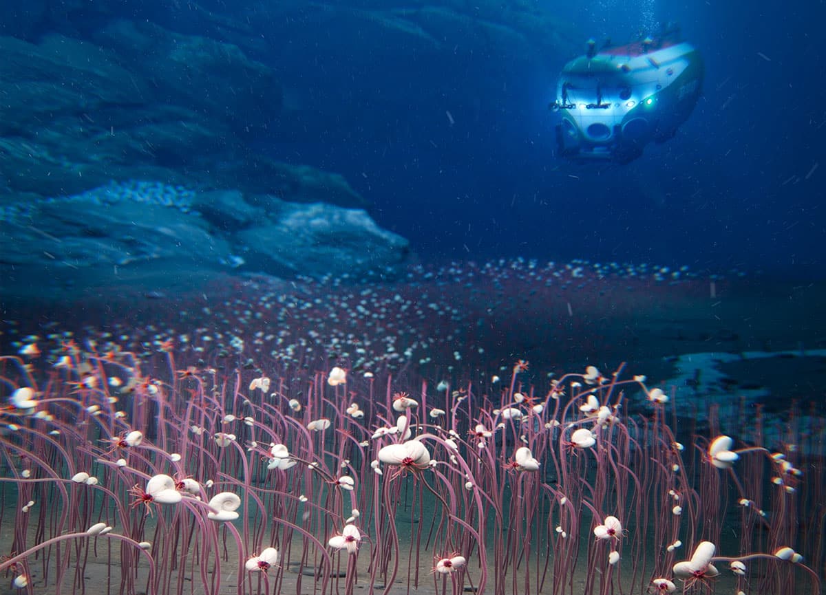 Künstlerische Umsetzung der Entdeckung des „lebendigen Flusses“ (Illu.).Copyright/Quelle: Institute of Deep-sea Science and Engineering, CAS (IDSSE, CAS)