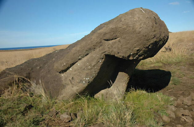 Ein entlang einer Straße umgefallener und offenbar aufgegebener Moai. Spuren am Fuß der Statue zeigen, dass hier offenbar vergeblich versucht wurde, den Steinkopf wieder aufzurichtenCopyright/Quelle: Carl Lipo.