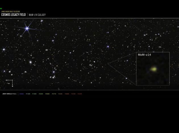 Die als „MoM-z14“ bezeichnete Galaxie ist derzeit die am weitesten entfernte jemals nachgewiesene Galaxie. (Klicken Sie auf die Bildmitte, um zu einer vergrößerten Darstellung zu gelangen.) Copyright: NASA, ESA, CSA, STScI, R. Naidu (MIT), Image Processing: J. DePasquale (STScI)